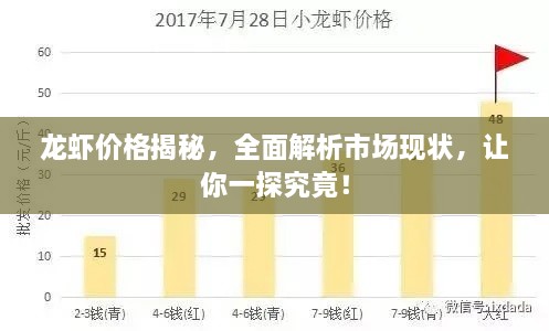 龍蝦價(jià)格揭秘，全面解析市場(chǎng)現(xiàn)狀，讓你一探究竟！