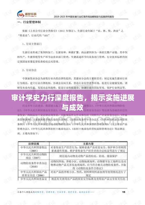 審計學(xué)史力行深度報告，揭示實施進(jìn)展與成效