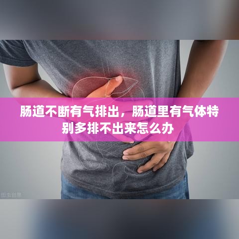 腸道不斷有氣排出，腸道里有氣體特別多排不出來怎么辦 