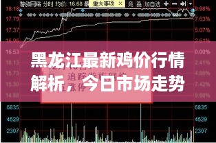 黑龍江最新雞價行情解析，今日市場走勢一網(wǎng)打盡