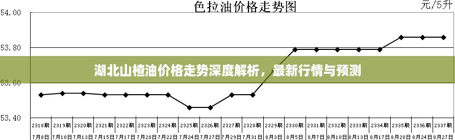 湖北山楂油價格走勢深度解析，最新行情與預(yù)測