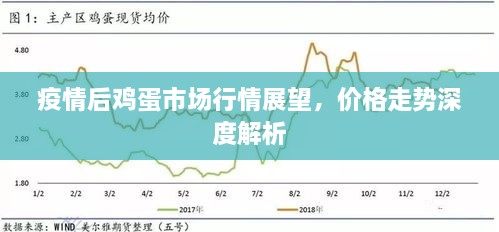 疫情后雞蛋市場行情展望，價(jià)格走勢深度解析