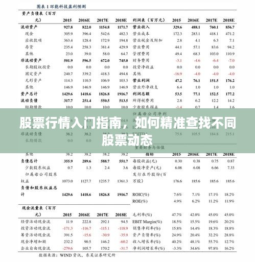 股票行情入門指南，如何精準(zhǔn)查找不同股票動態(tài)