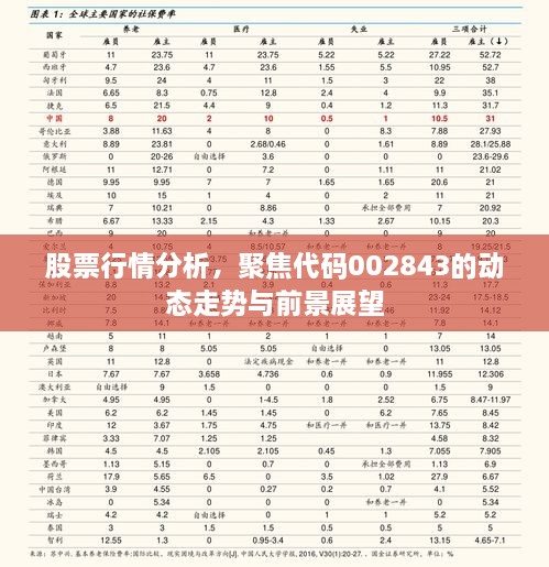 股票行情分析，聚焦代碼002843的動態(tài)走勢與前景展望