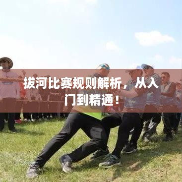 拔河比賽規(guī)則解析，從入門到精通！