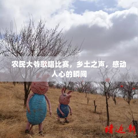 農(nóng)民大爺歌唱比賽，鄉(xiāng)土之聲，感動人心的瞬間