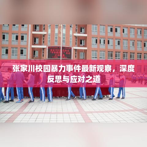 張家川校園暴力事件最新觀察，深度反思與應(yīng)對(duì)之道