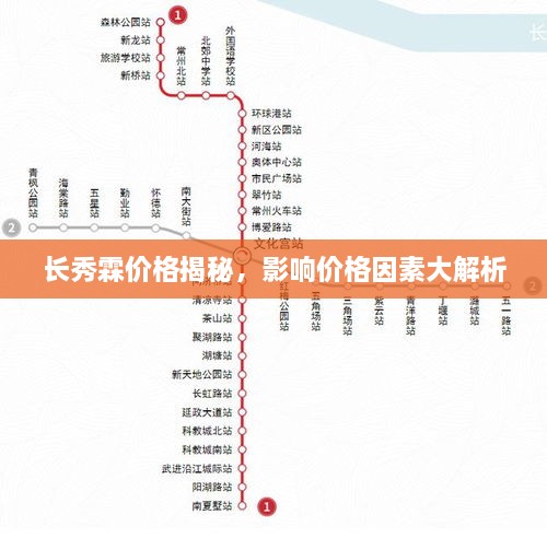 長秀霖價格揭秘，影響價格因素大解析