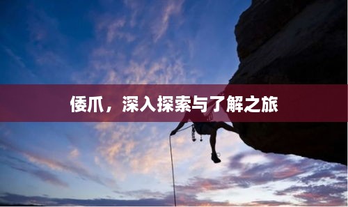 倭爪，深入探索與了解之旅