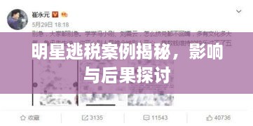 明星逃稅案例揭秘，影響與后果探討