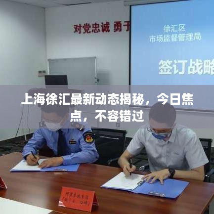 上海徐匯最新動態(tài)揭秘，今日焦點，不容錯過