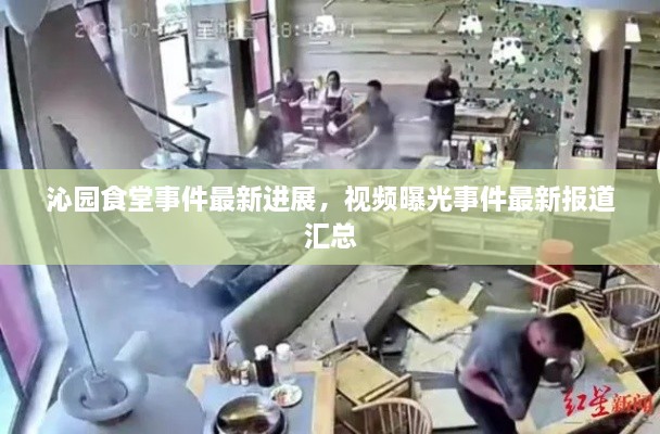 沁園食堂事件最新進展，視頻曝光事件最新報道匯總