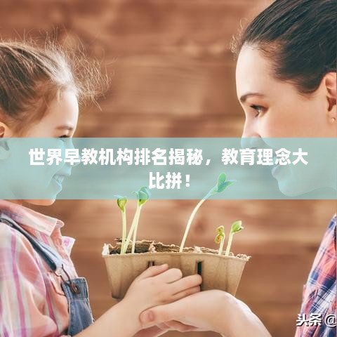 世界早教機(jī)構(gòu)排名揭秘，教育理念大比拼！