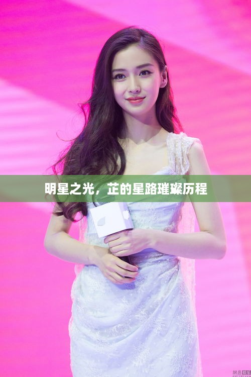 明星之光，芷的星路璀璨歷程
