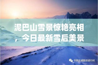 泥巴山雪景驚艷亮相，今日最新雪后美景報道！