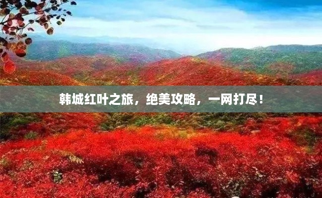 韓城紅葉之旅，絕美攻略，一網(wǎng)打盡！