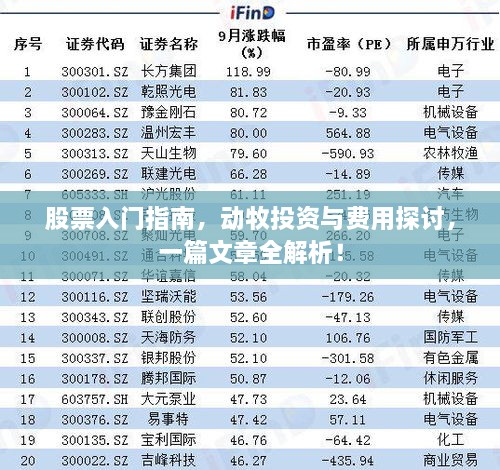 股票入門指南，動牧投資與費用探討，一篇文章全解析！