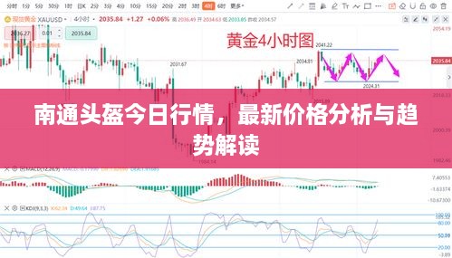 南通頭盔今日行情，最新價(jià)格分析與趨勢(shì)解讀