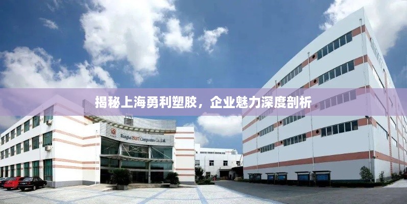 揭秘上海勇利塑膠，企業(yè)魅力深度剖析