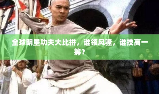 全球明星功夫大比拼，誰(shuí)領(lǐng)風(fēng)騷，誰(shuí)技高一籌？