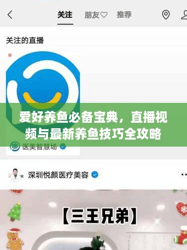 愛好養(yǎng)魚必備寶典，直播視頻與最新養(yǎng)魚技巧全攻略