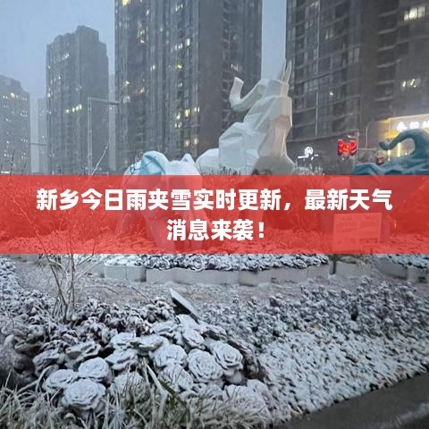新鄉(xiāng)今日雨夾雪實(shí)時(shí)更新，最新天氣消息來(lái)襲！