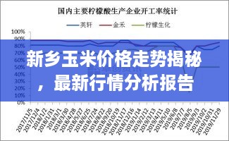新鄉(xiāng)玉米價格走勢揭秘，最新行情分析報告