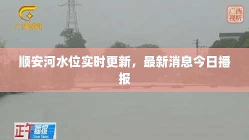 順安河水位實(shí)時(shí)更新，最新消息今日播報(bào)