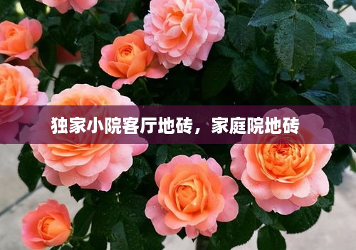 獨家小院客廳地磚，家庭院地磚 