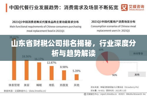 山東省財(cái)稅公司排名揭秘，行業(yè)深度分析與趨勢(shì)解讀
