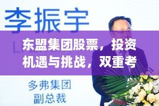 東盟集團(tuán)股票，投資機(jī)遇與挑戰(zhàn)，雙重考量不容錯(cuò)過(guò)