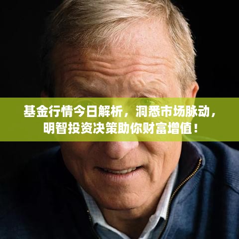 基金行情今日解析，洞悉市場脈動，明智投資決策助你財富增值！