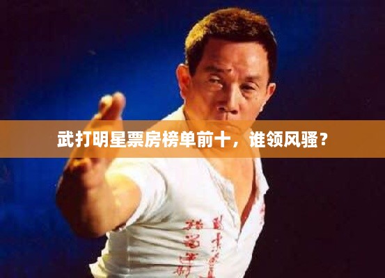 武打明星票房榜單前十，誰領(lǐng)風騷？