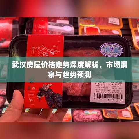 武漢房屋價格走勢深度解析，市場洞察與趨勢預測