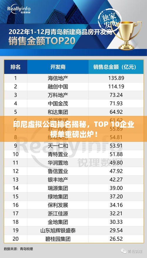 印尼虛擬公司排名揭秘，TOP 10企業(yè)榜單重磅出爐！