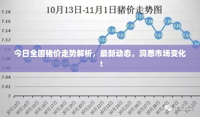 今日全國(guó)豬價(jià)走勢(shì)解析，最新動(dòng)態(tài)，洞悉市場(chǎng)變化！