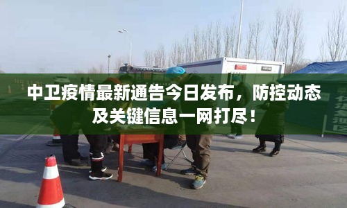 中衛(wèi)疫情最新通告今日發(fā)布，防控動態(tài)及關(guān)鍵信息一網(wǎng)打盡！
