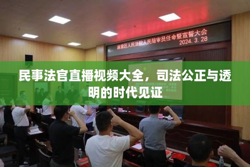 民事法官直播視頻大全，司法公正與透明的時代見證