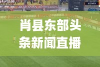 肖縣東部頭條新聞直播，地域最新動(dòng)態(tài)盡在掌握