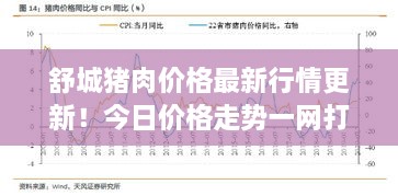 舒城豬肉價格最新行情更新！今日價格走勢一網(wǎng)打盡