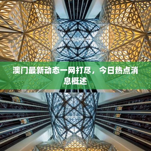 澳門最新動態(tài)一網(wǎng)打盡，今日熱點消息概述