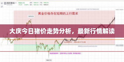 大慶今日豬價(jià)走勢(shì)分析，最新行情解讀