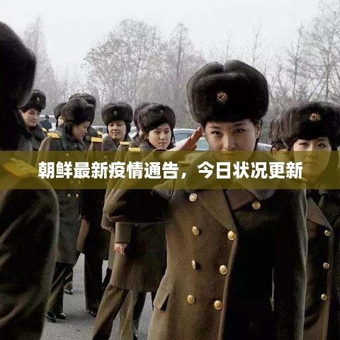 朝鮮最新疫情通告，今日狀況更新