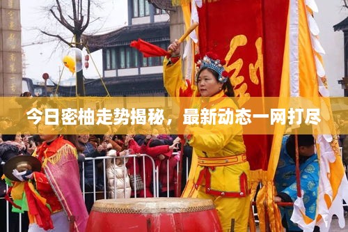 今日密柚走勢揭秘，最新動(dòng)態(tài)一網(wǎng)打盡