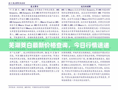 蕪湖茭白最新價格查詢，今日行情速遞