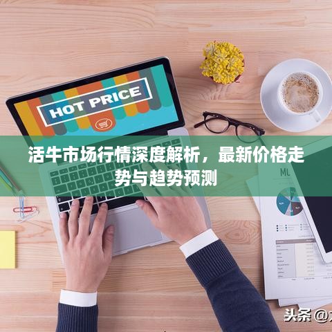 活牛市場行情深度解析，最新價格走勢與趨勢預(yù)測