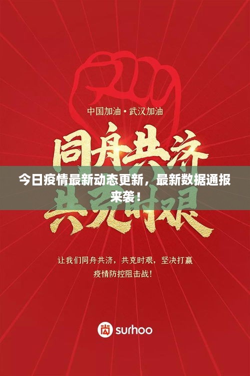今日疫情最新動態(tài)更新，最新數(shù)據(jù)通報來襲！
