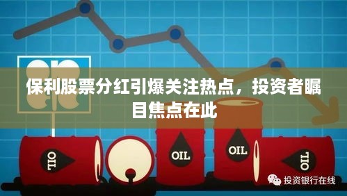 保利股票分紅引爆關(guān)注熱點(diǎn)，投資者矚目焦點(diǎn)在此