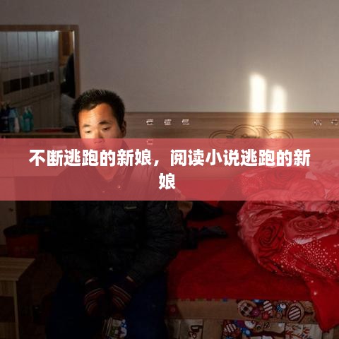 不斷逃跑的新娘，閱讀小說(shuō)逃跑的新娘 