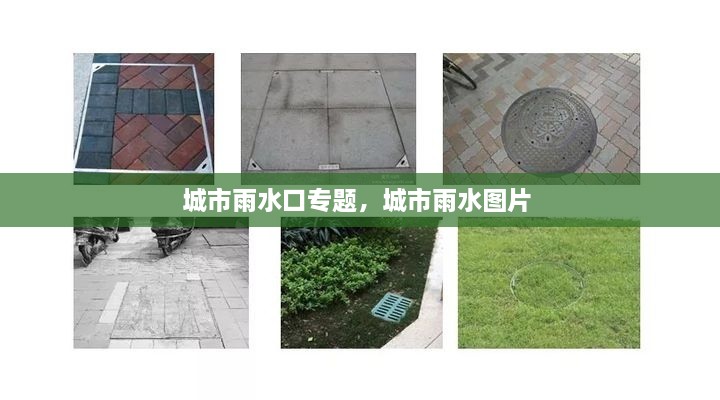 城市雨水口專題，城市雨水圖片 